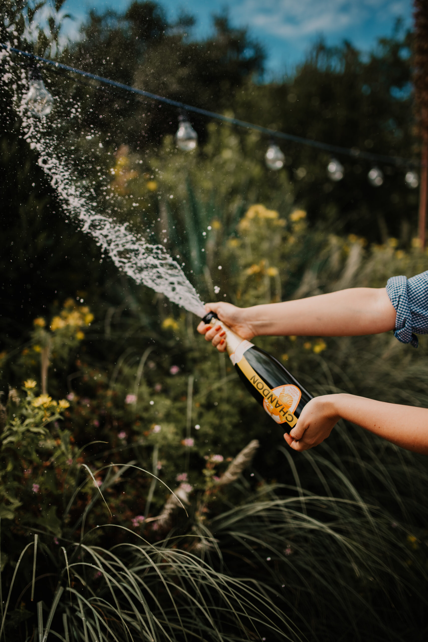 A bottle of Chandon sprits exploding in celebration