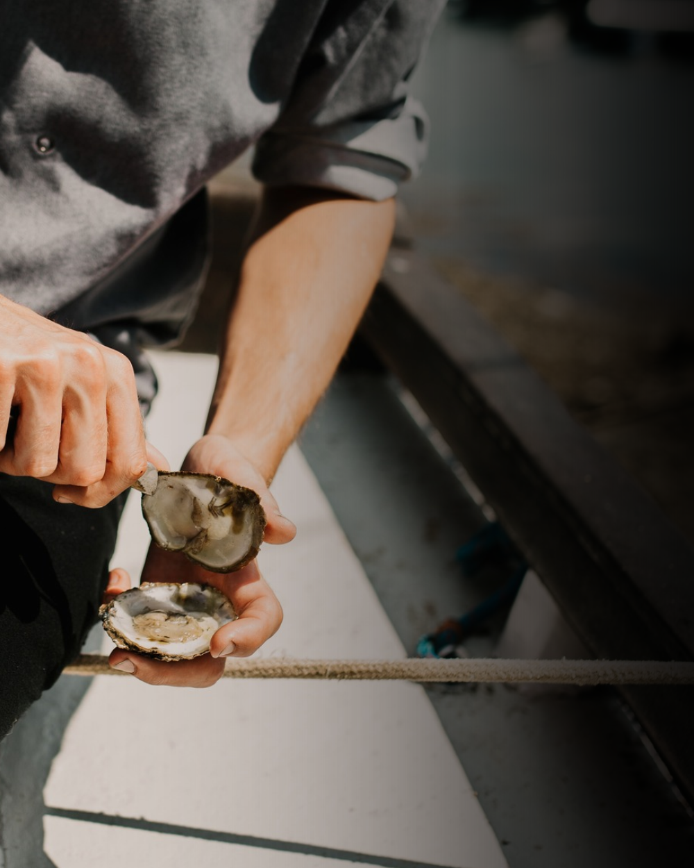 Oyster Festival